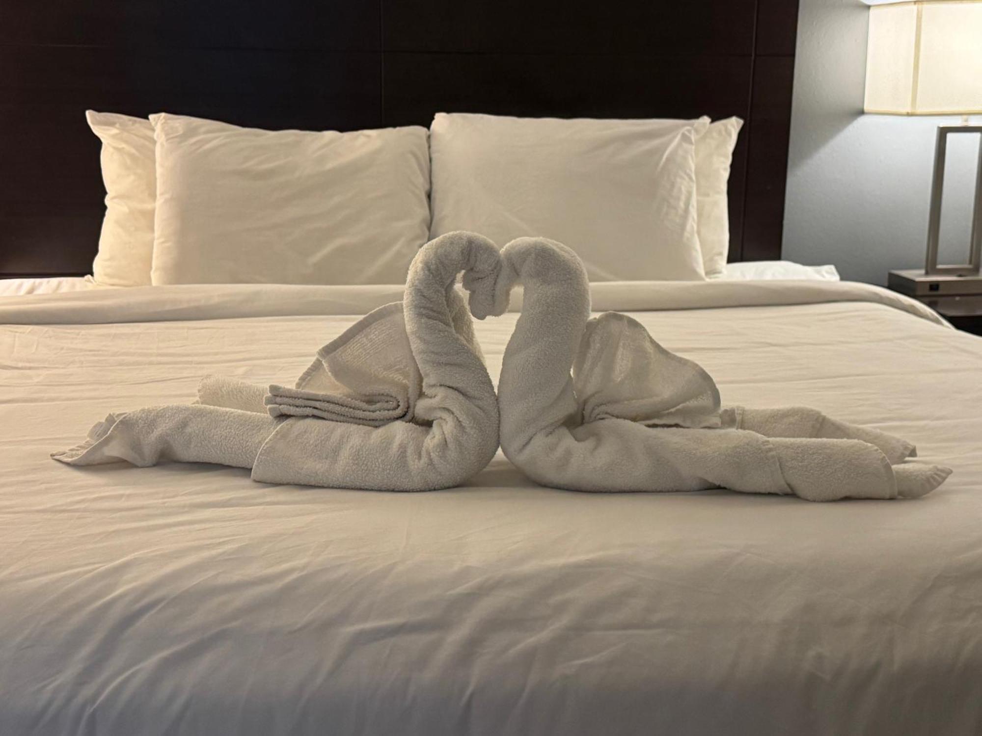 Clarion Inn & Suites Dothan South Buitenkant foto